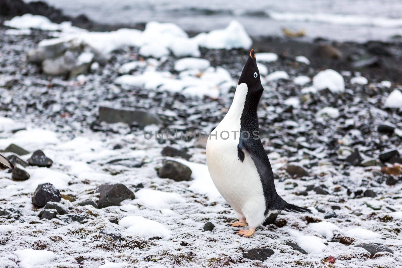 Beautiful landscape and scenery in Antarctica. Freezing