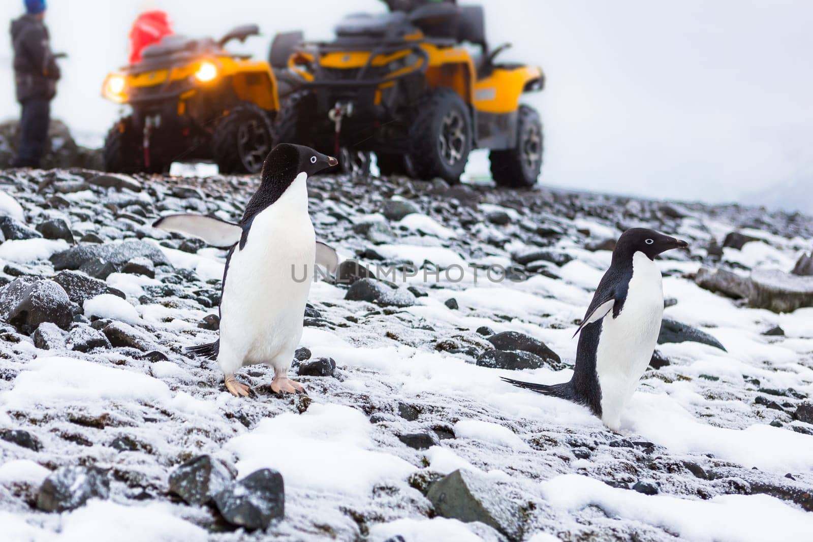 Beautiful landscape and scenery in Antarctica. Freezing