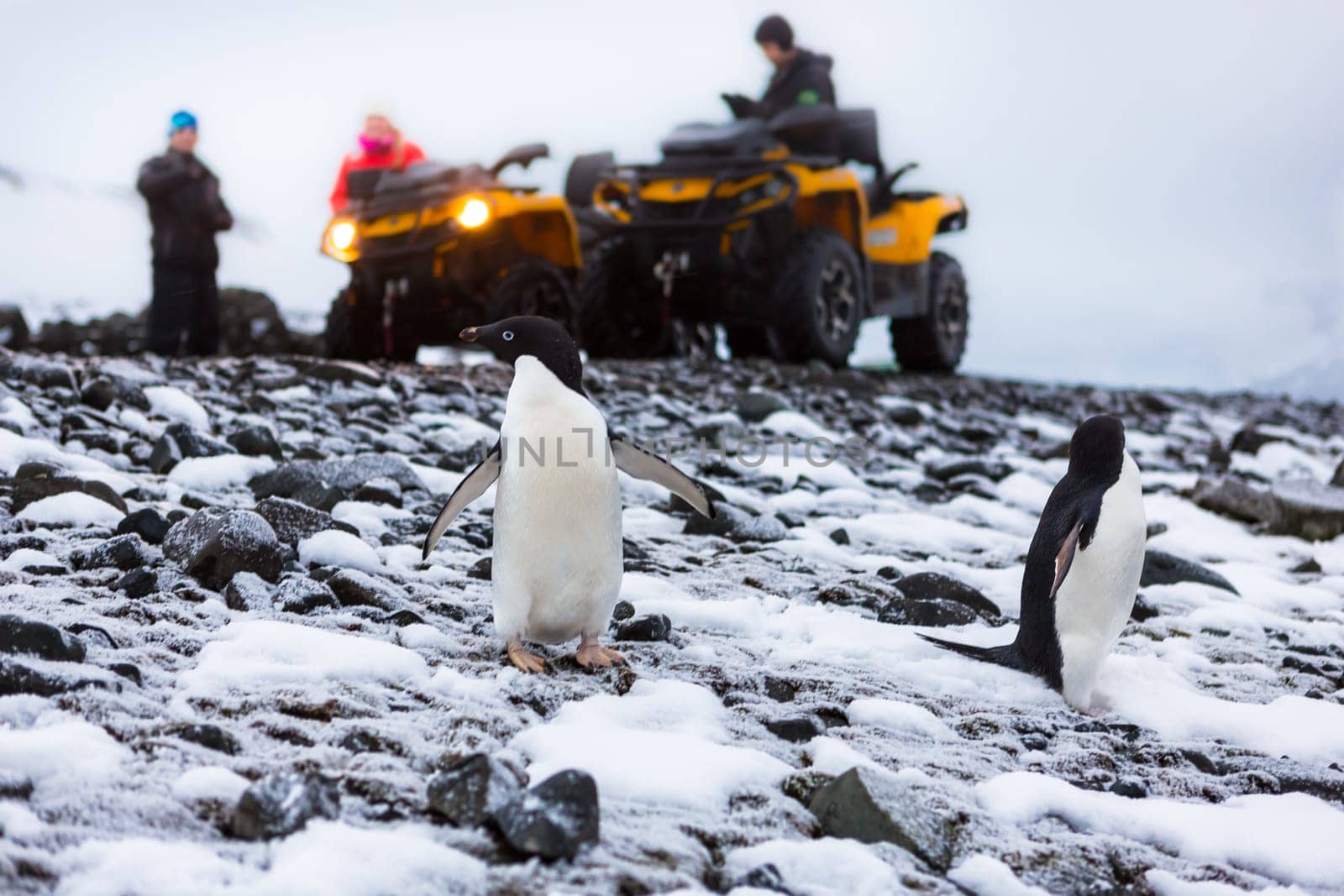 Beautiful landscape and scenery in Antarctica. Freezing