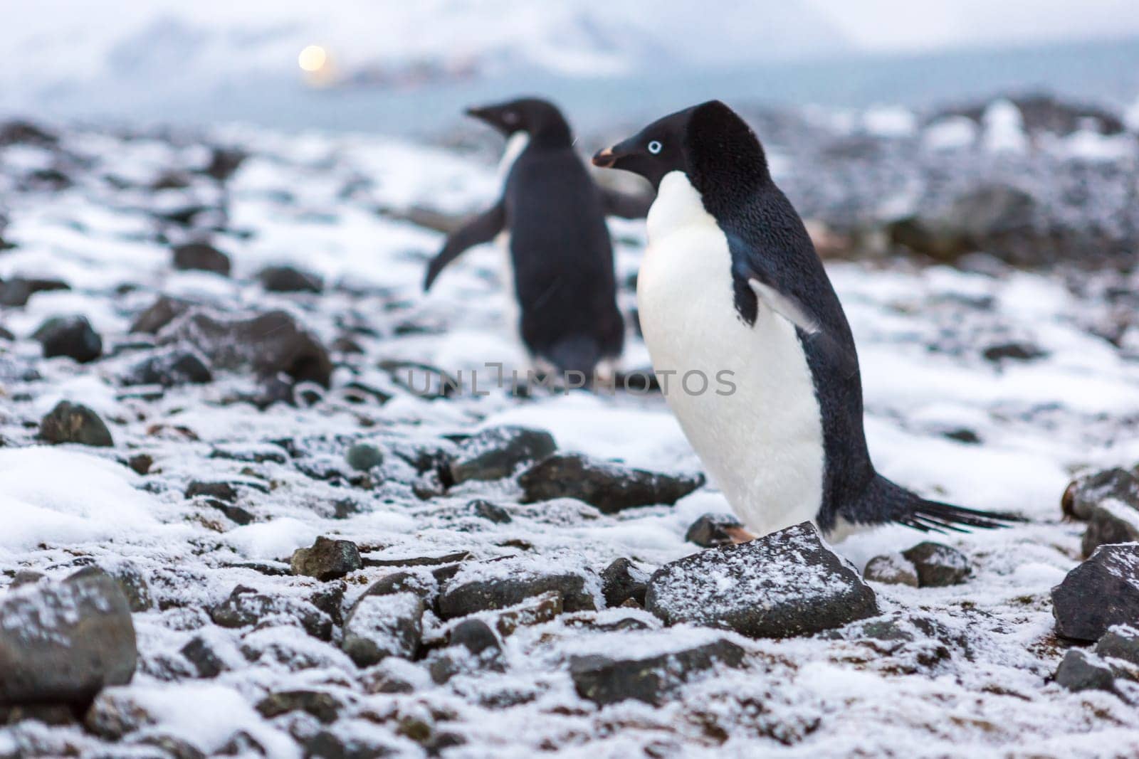 Beautiful landscape and scenery in Antarctica. Freezing