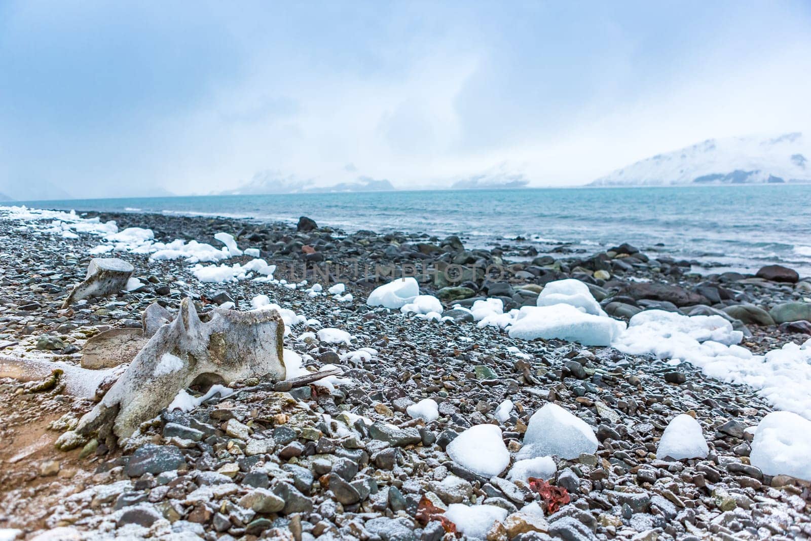 Beautiful landscape and scenery in Antarctica. Freezing
