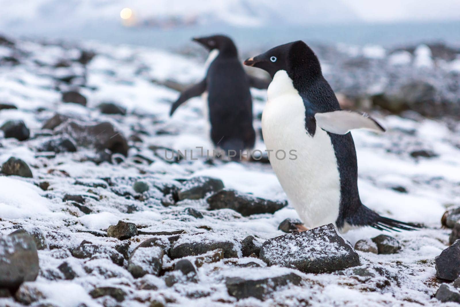 Beautiful landscape and scenery in Antarctica. Freezing