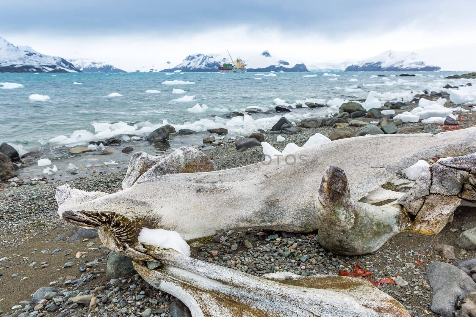 Beautiful landscape and scenery in Antarctica. Freezing