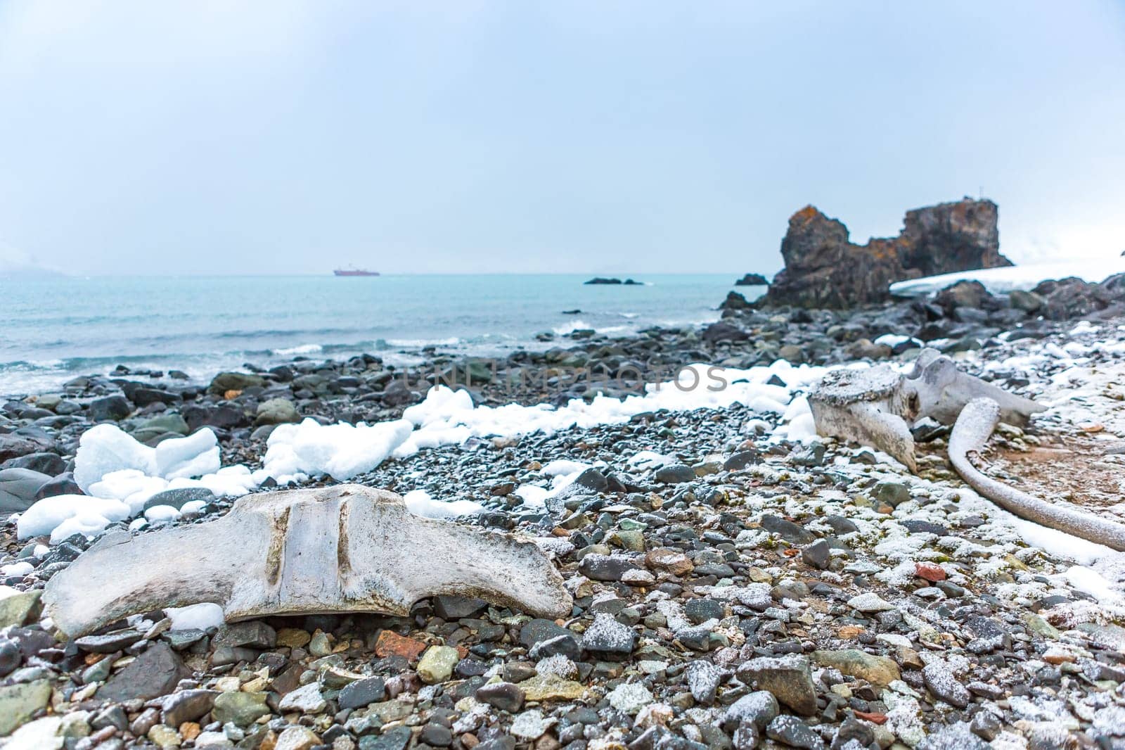 Beautiful landscape and scenery in Antarctica. Freezing