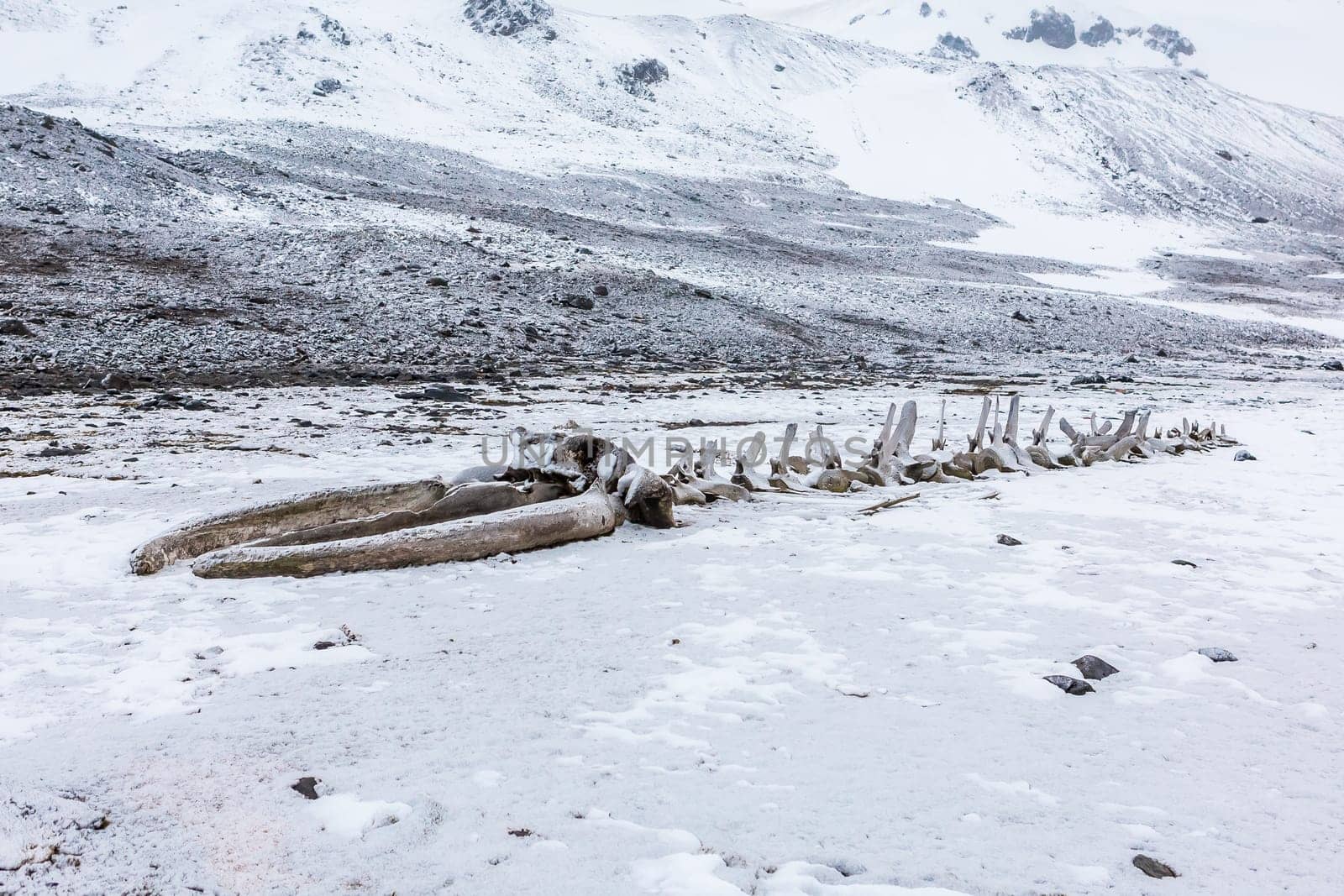 Beautiful landscape and scenery in Antarctica. Freezing