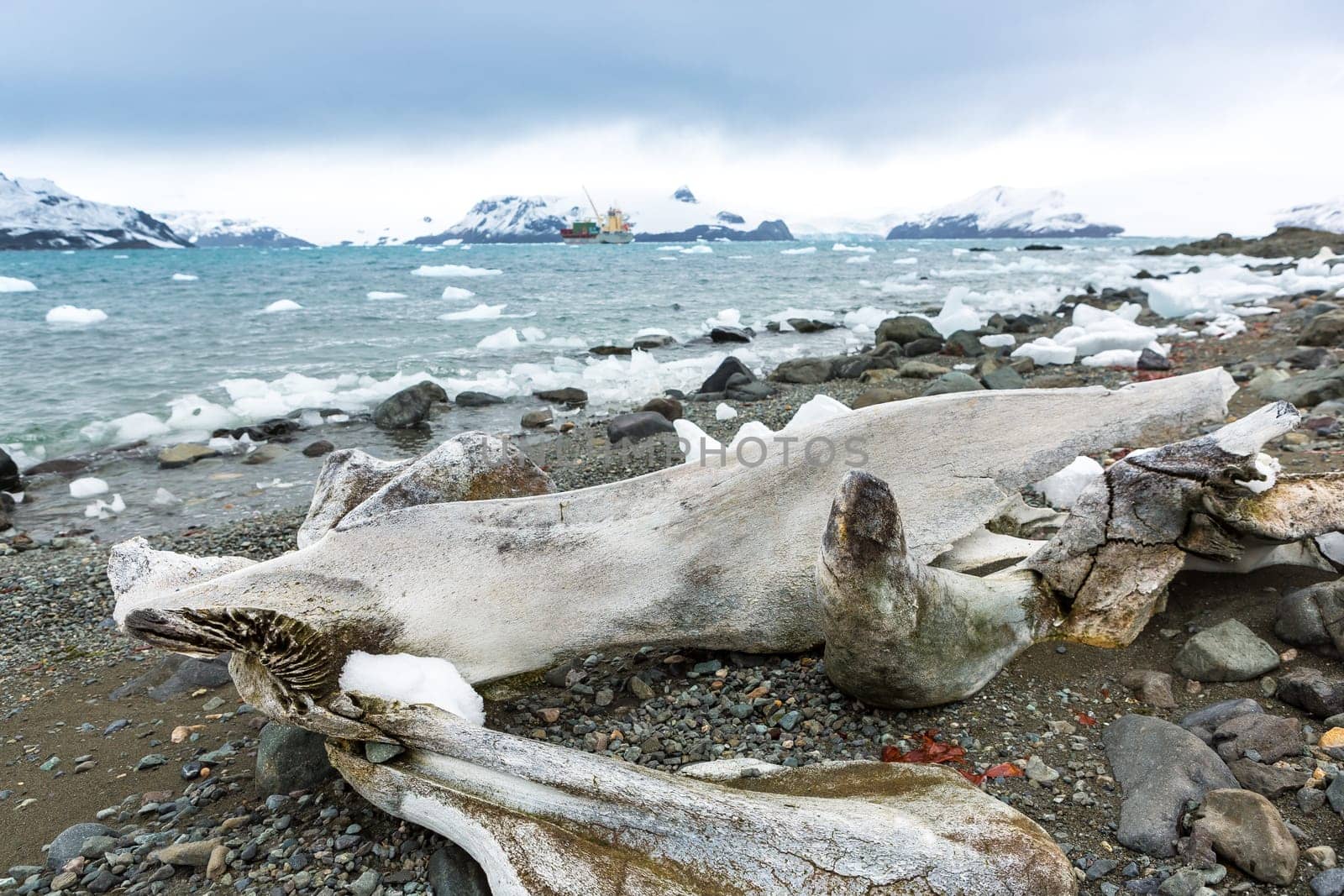 Beautiful landscape and scenery in Antarctica. Freezing