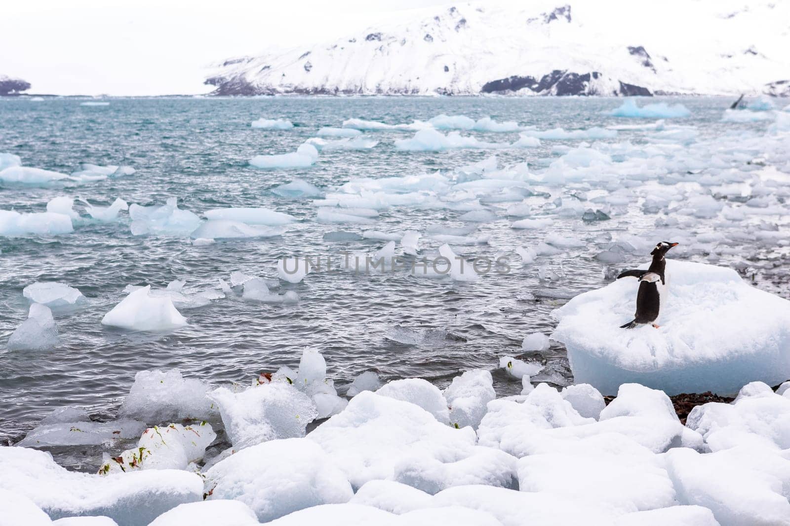 Beautiful landscape and scenery in Antarctica. Freezing