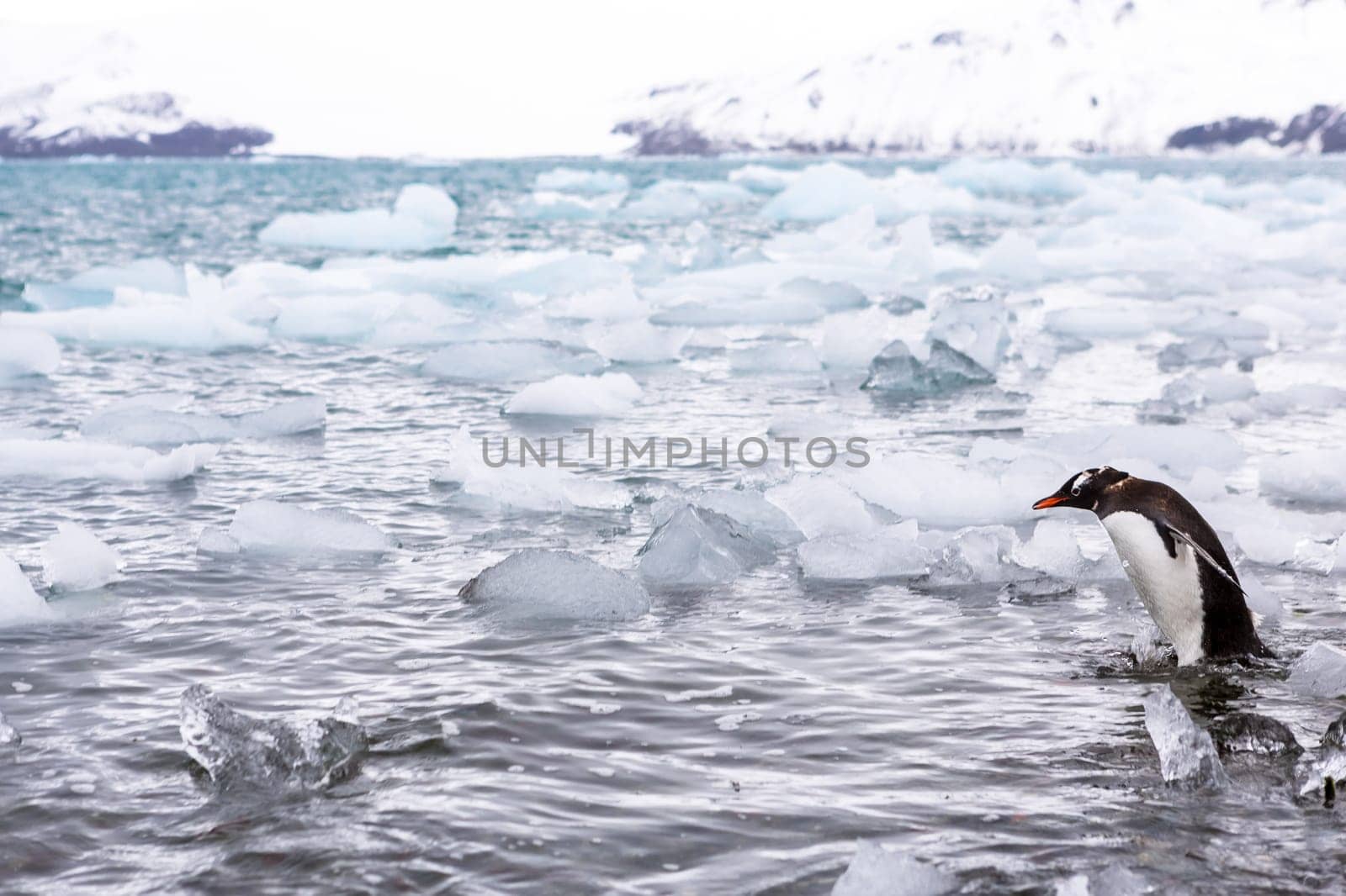 Beautiful landscape and scenery in Antarctica. Freezing