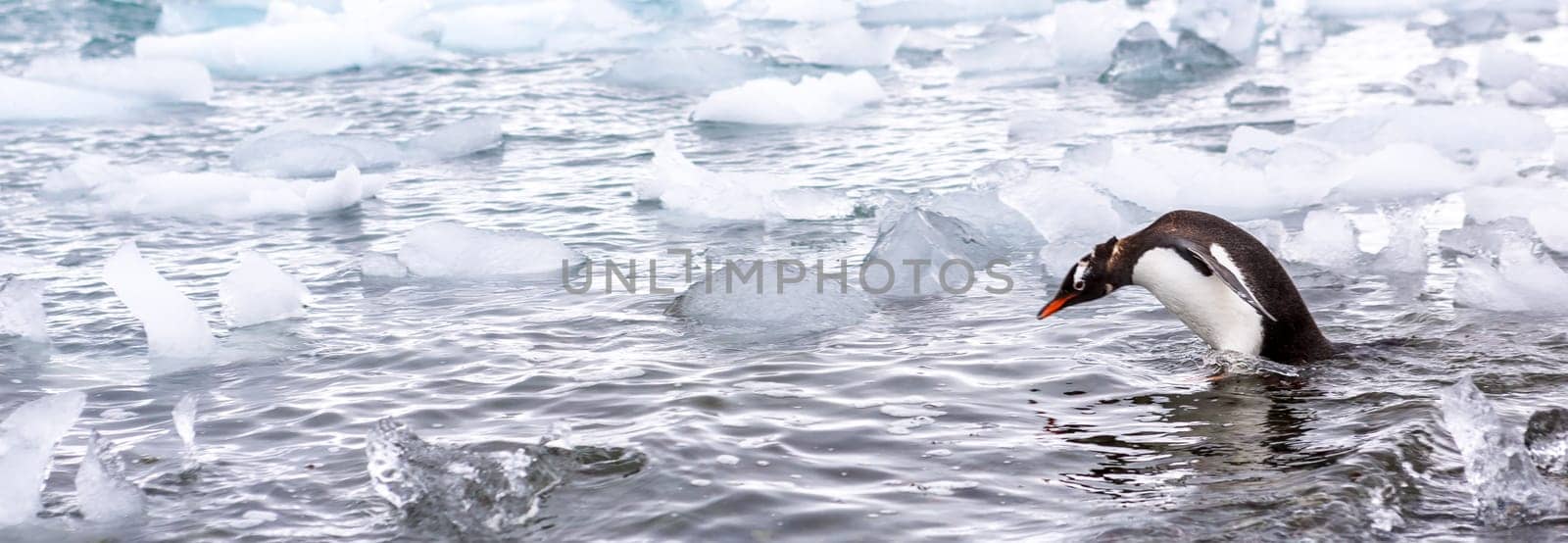 Beautiful landscape and scenery in Antarctica. Freezing