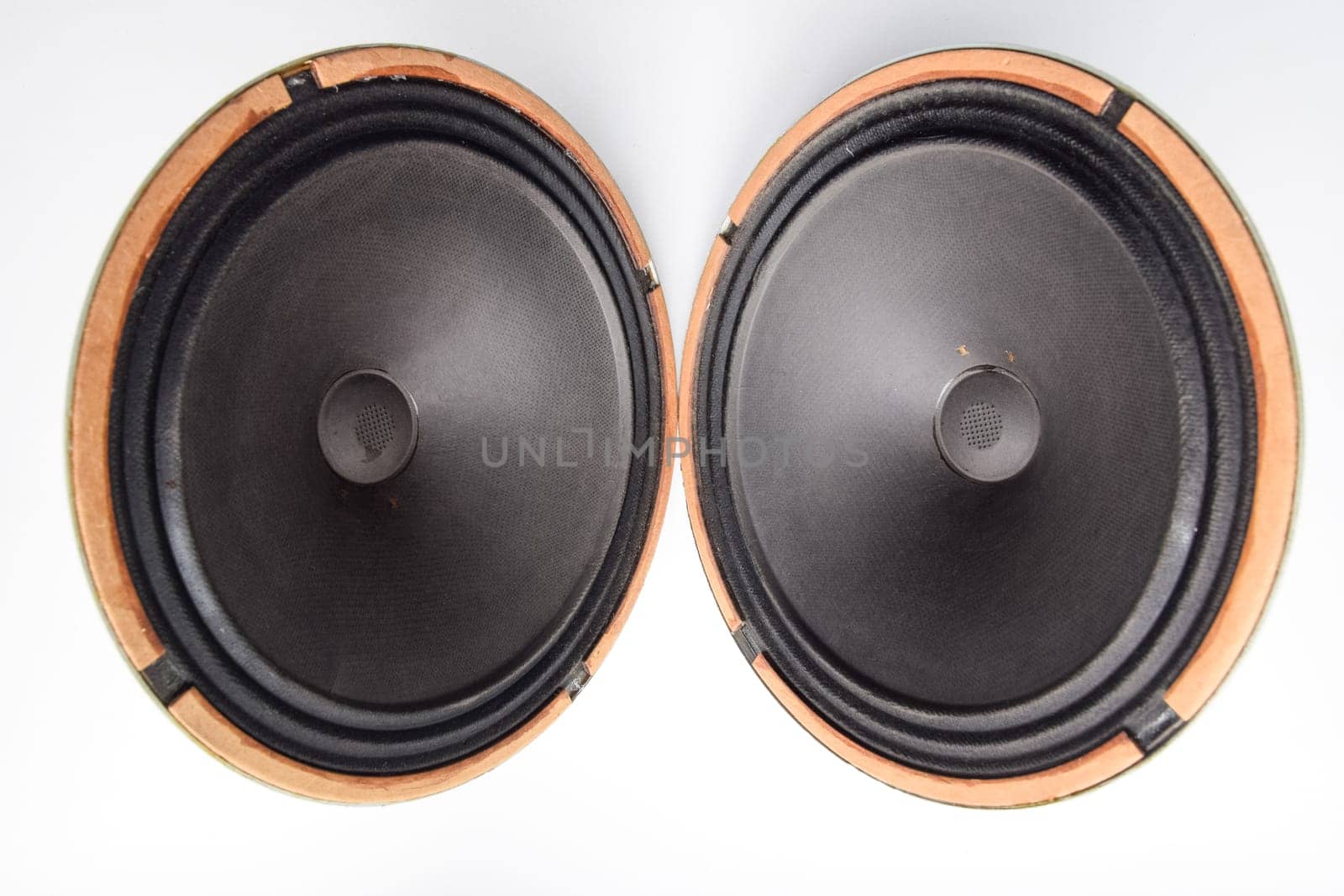 Antique Soviet woofer 5gd-3 from vintage acoustics Symphony.