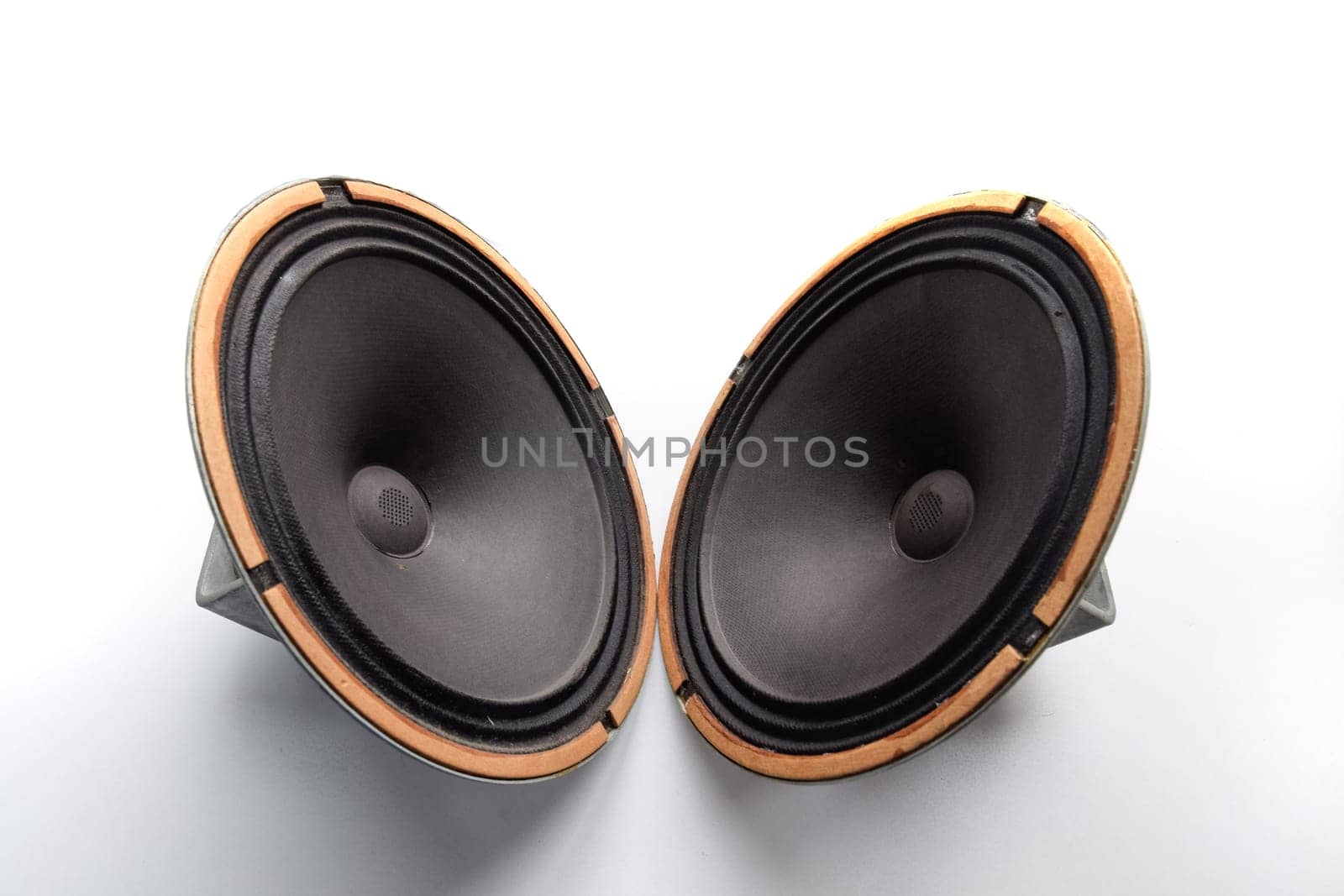 Antique Soviet woofer 5gd-3 from vintage acoustics Symphony.