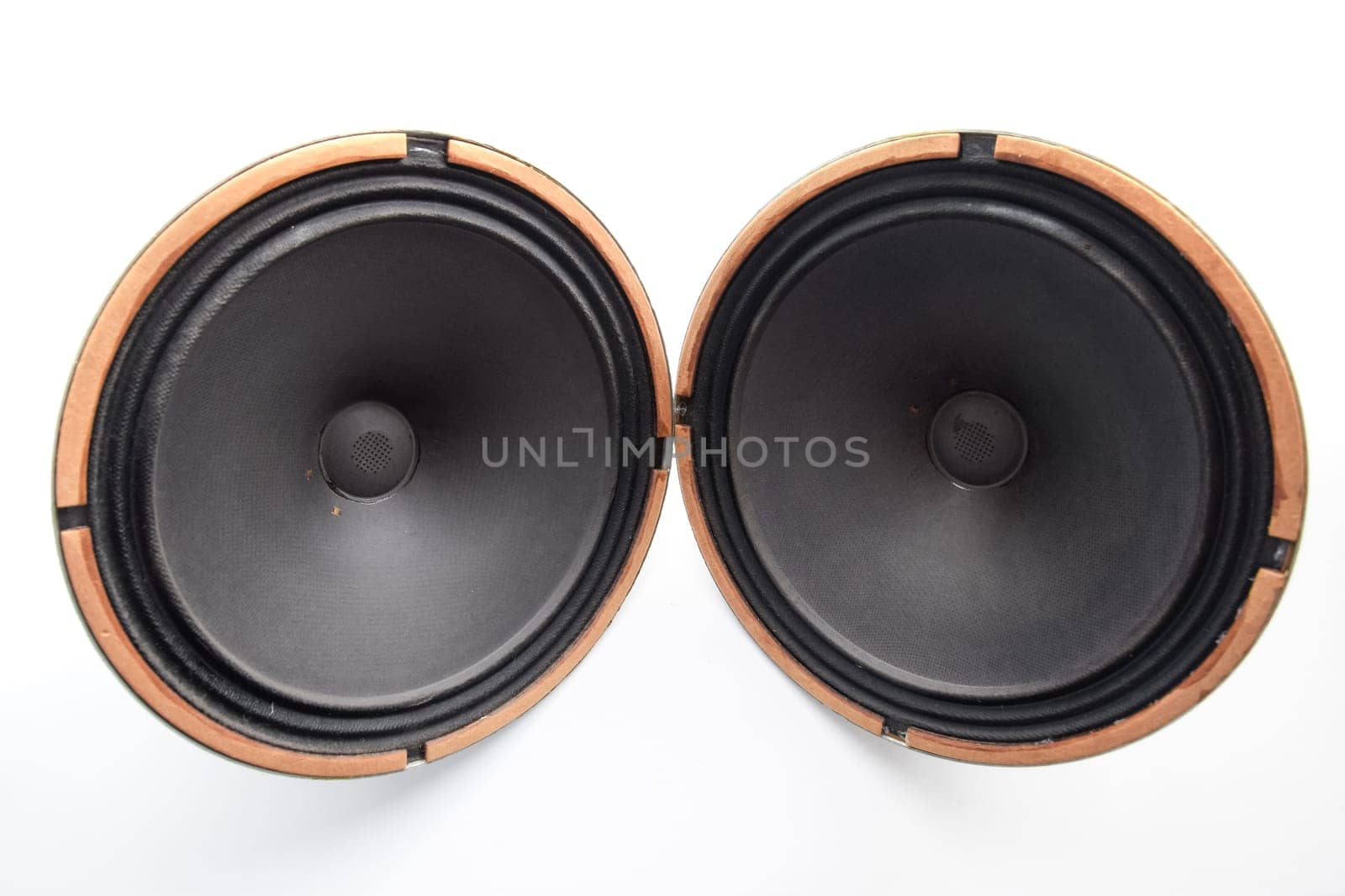 Antique Soviet woofer 5gd-3 from vintage acoustics Symphony.