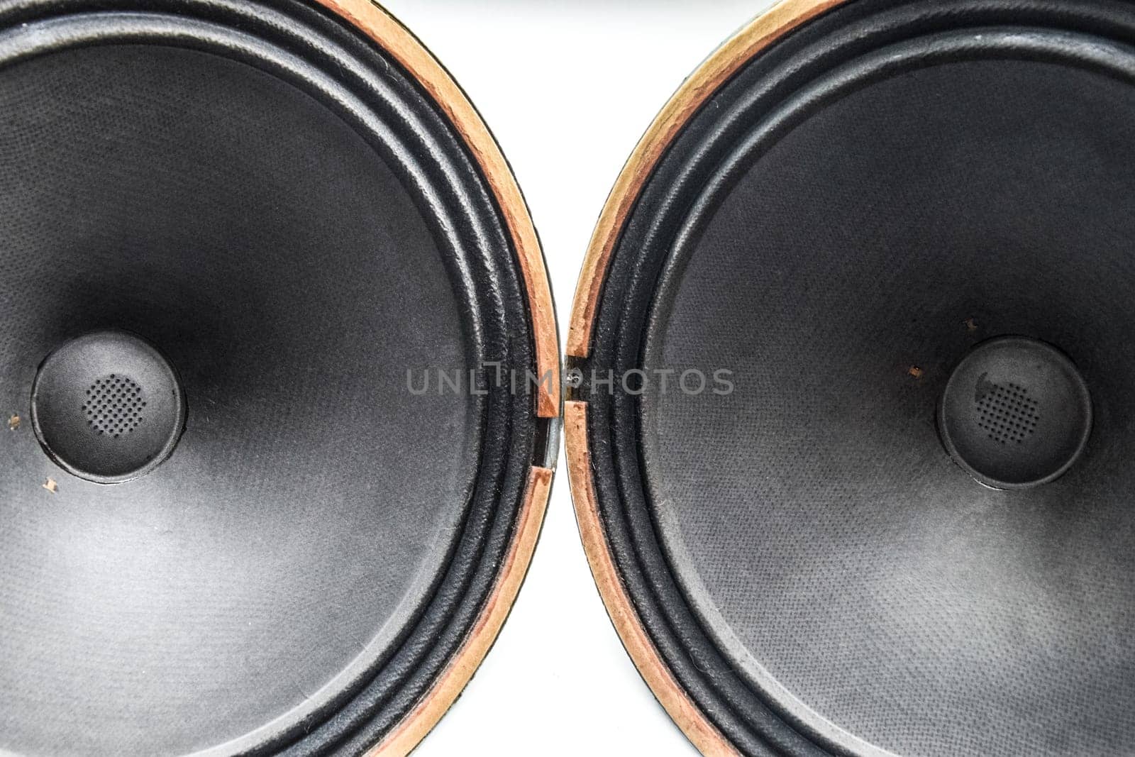 Antique Soviet woofer 5gd-3 from vintage acoustics Symphony.