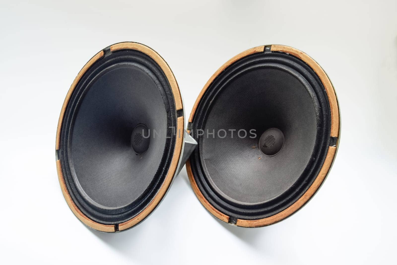 Antique Soviet woofer 5gd-3 from vintage acoustics Symphony.