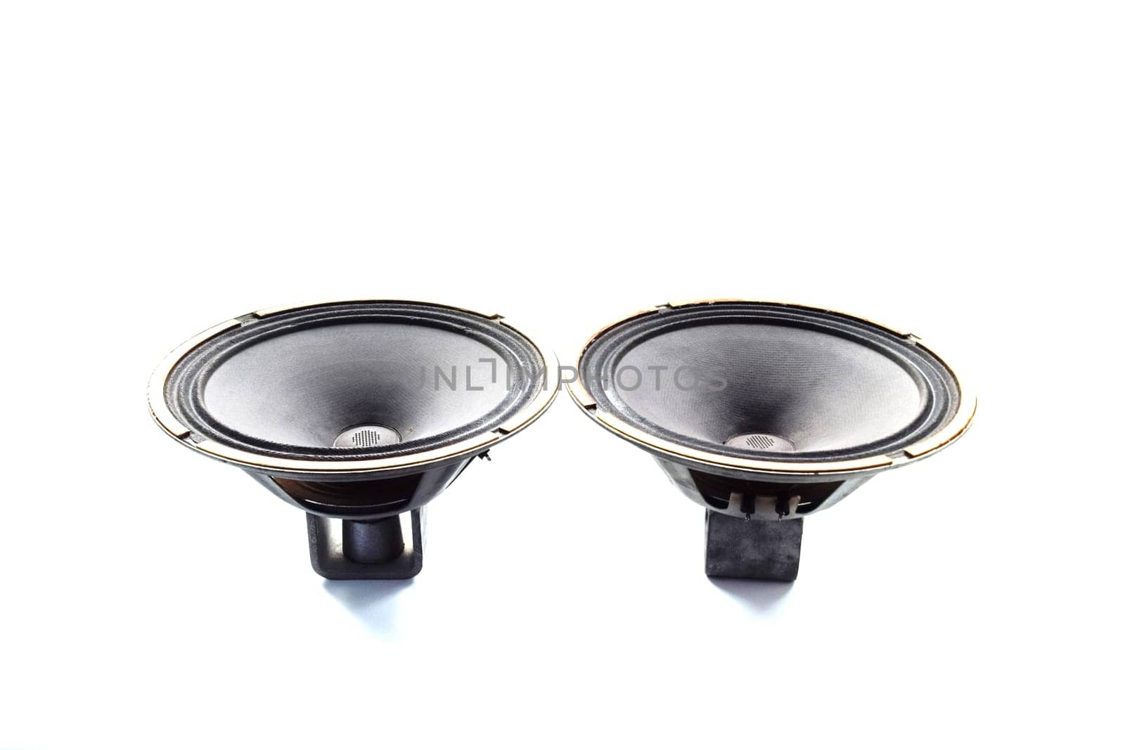 Antique Soviet woofer 5gd-3 from vintage acoustics Symphony.