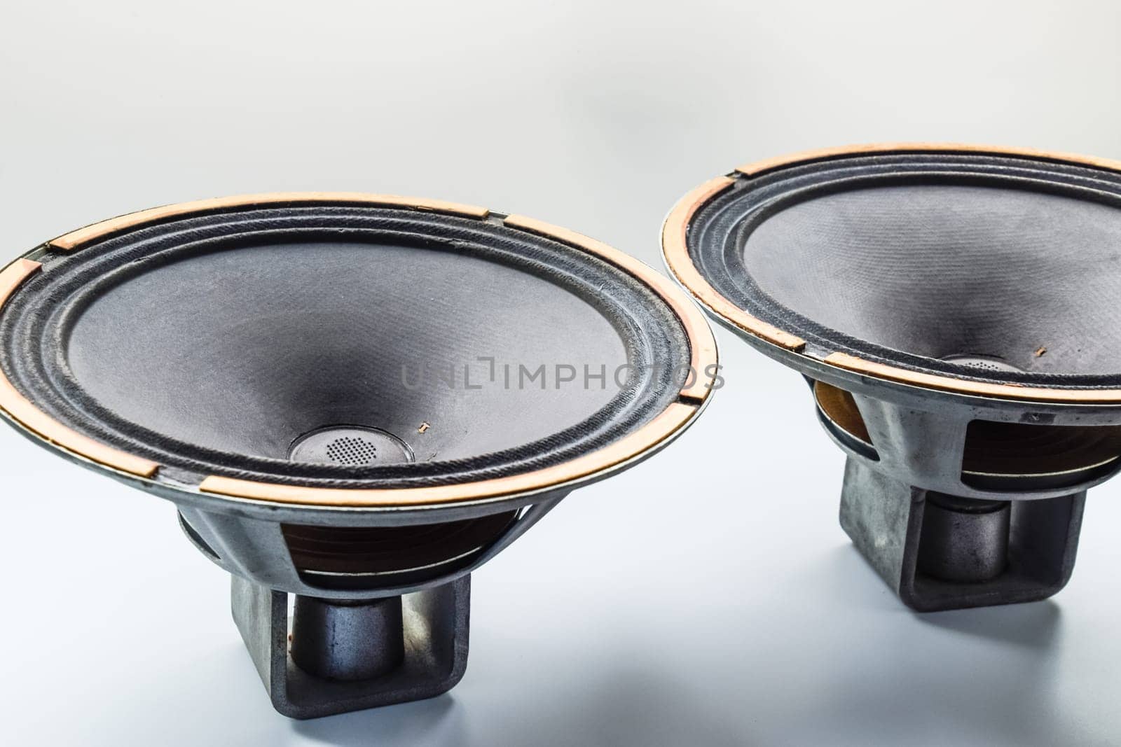 Antique Soviet woofer 5gd-3 from vintage acoustics Symphony.