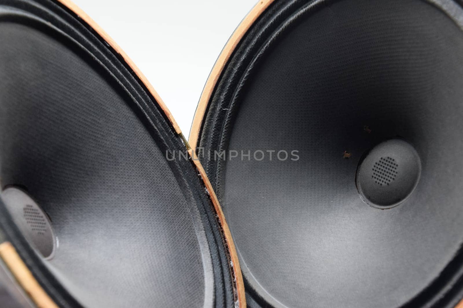Antique Soviet woofer 5gd-3 from vintage acoustics Symphony.