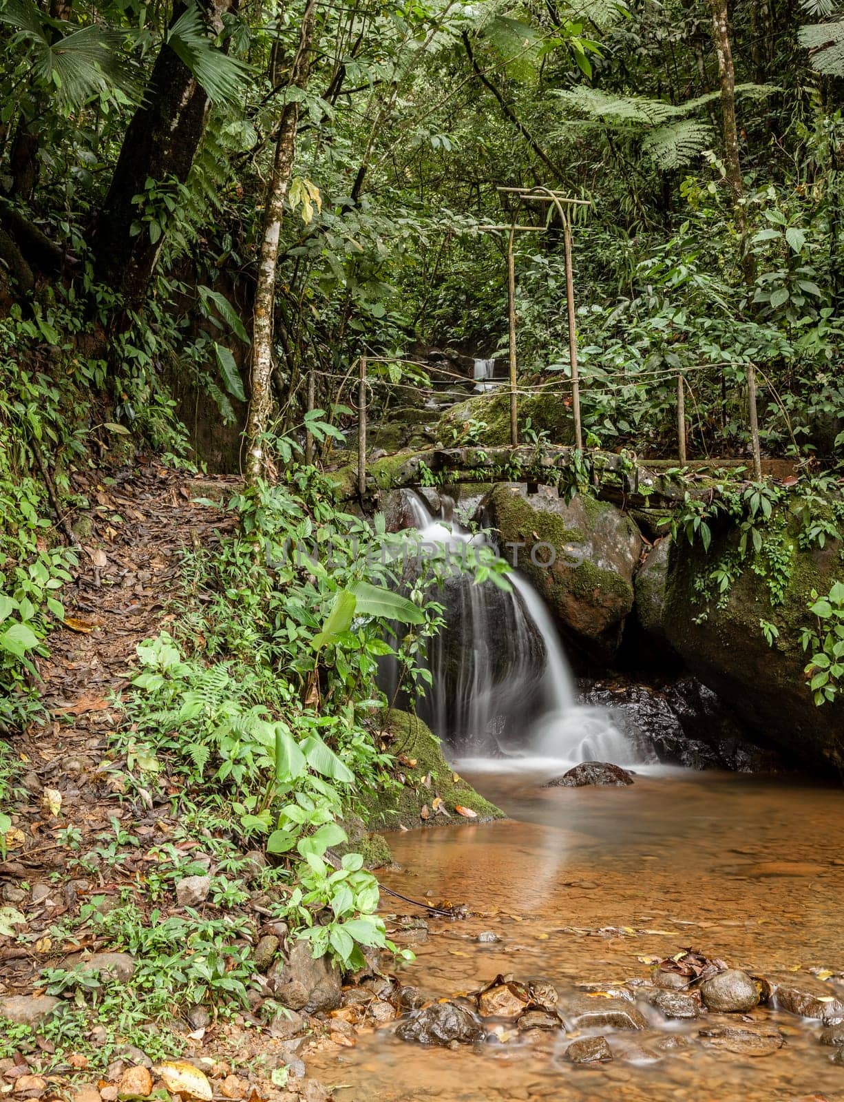 Wooden footbridge over a small creek in Costa Rican forest