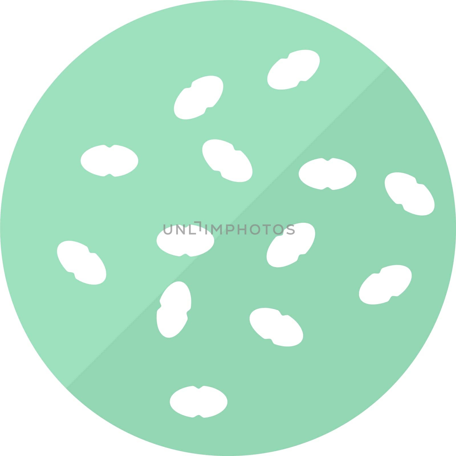 Enterococcus faecalis bad gutbacteria vector icon