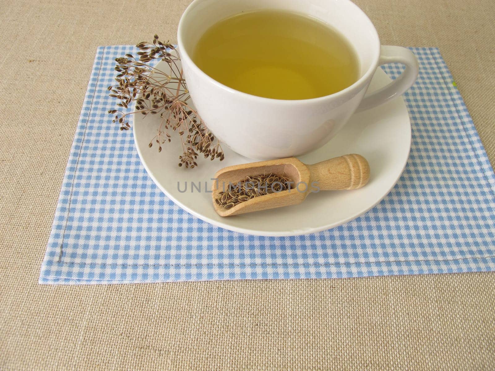A cup of herbal tea from dill seeds