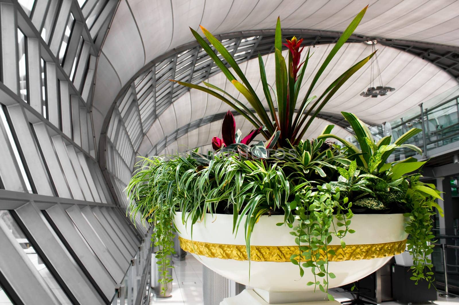 green garden plant indoor outdoor