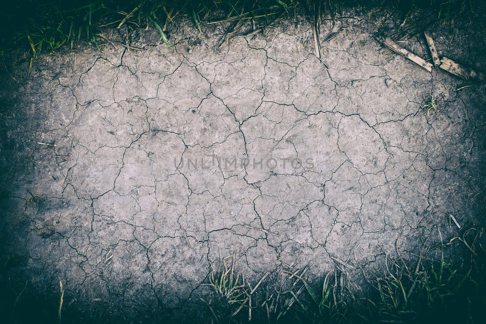 the surface of the crack