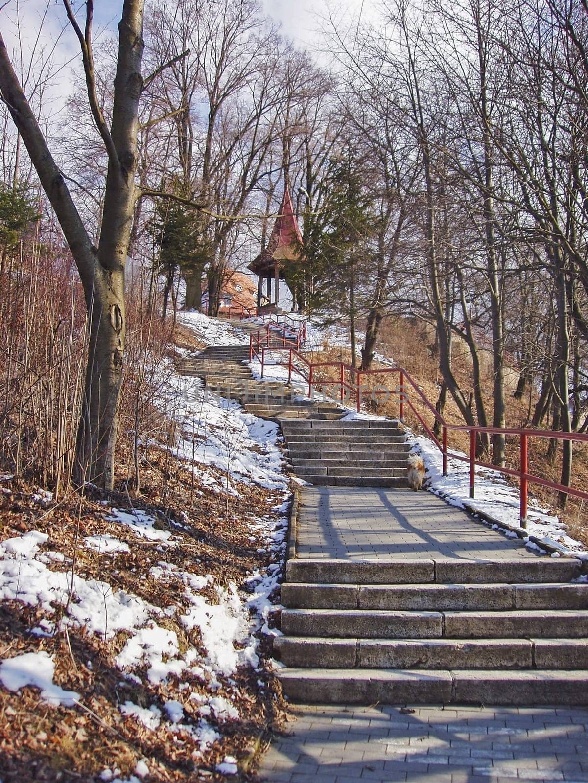 City Park with steps and lookout
