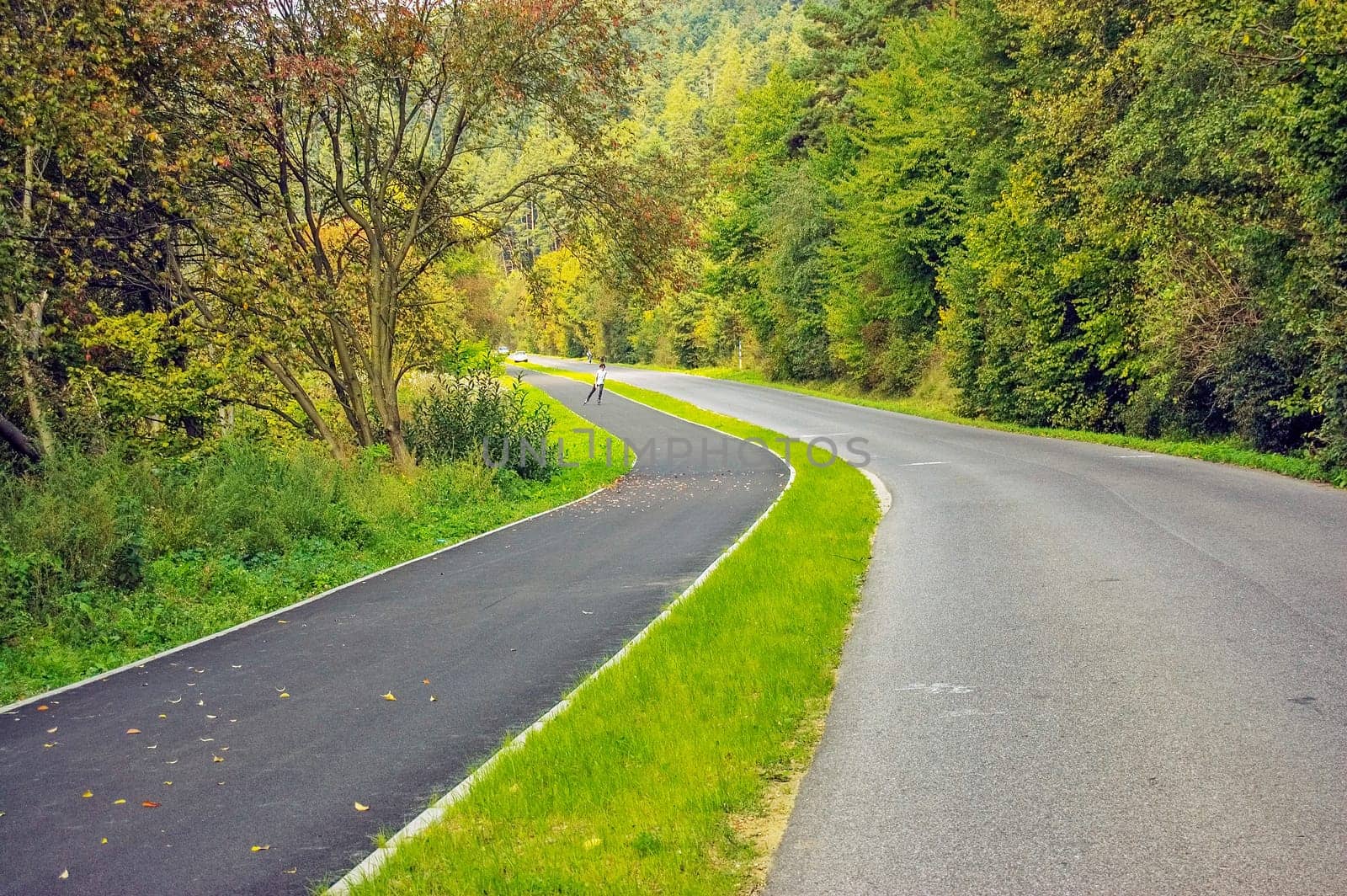 Road with a pedestrian walkway