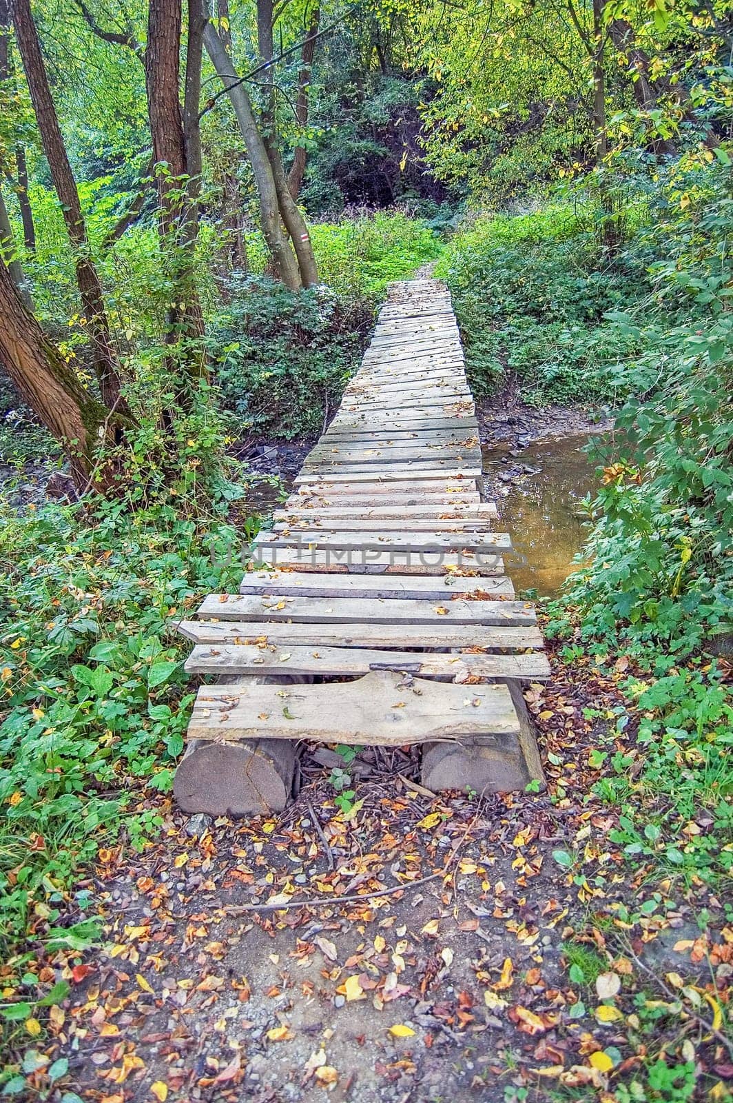 Wooden bridge