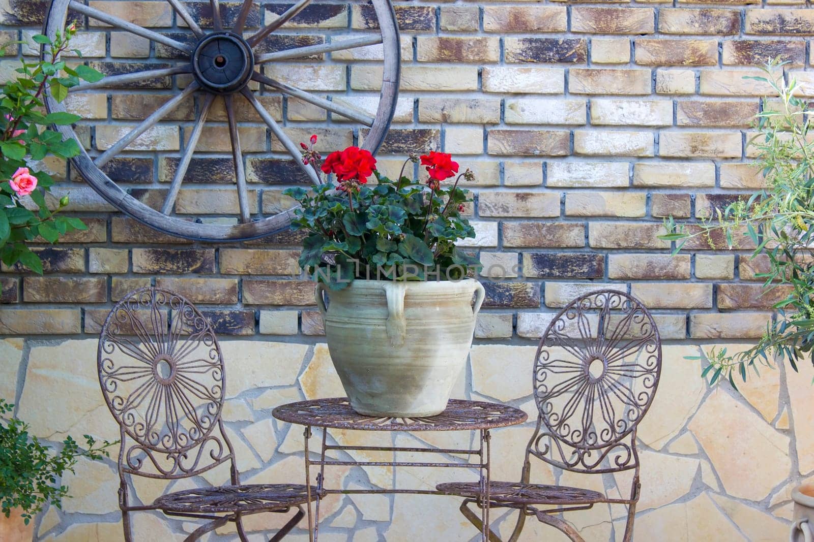 beautiful place in the garden in the mediterranean style, pot with pelargonium on the table