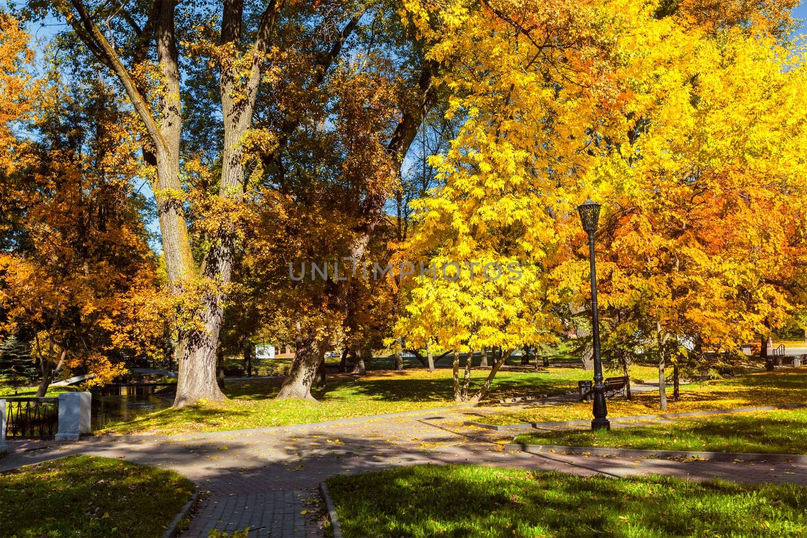 Autumn colors - fall in park with yellow leaves foliage trees