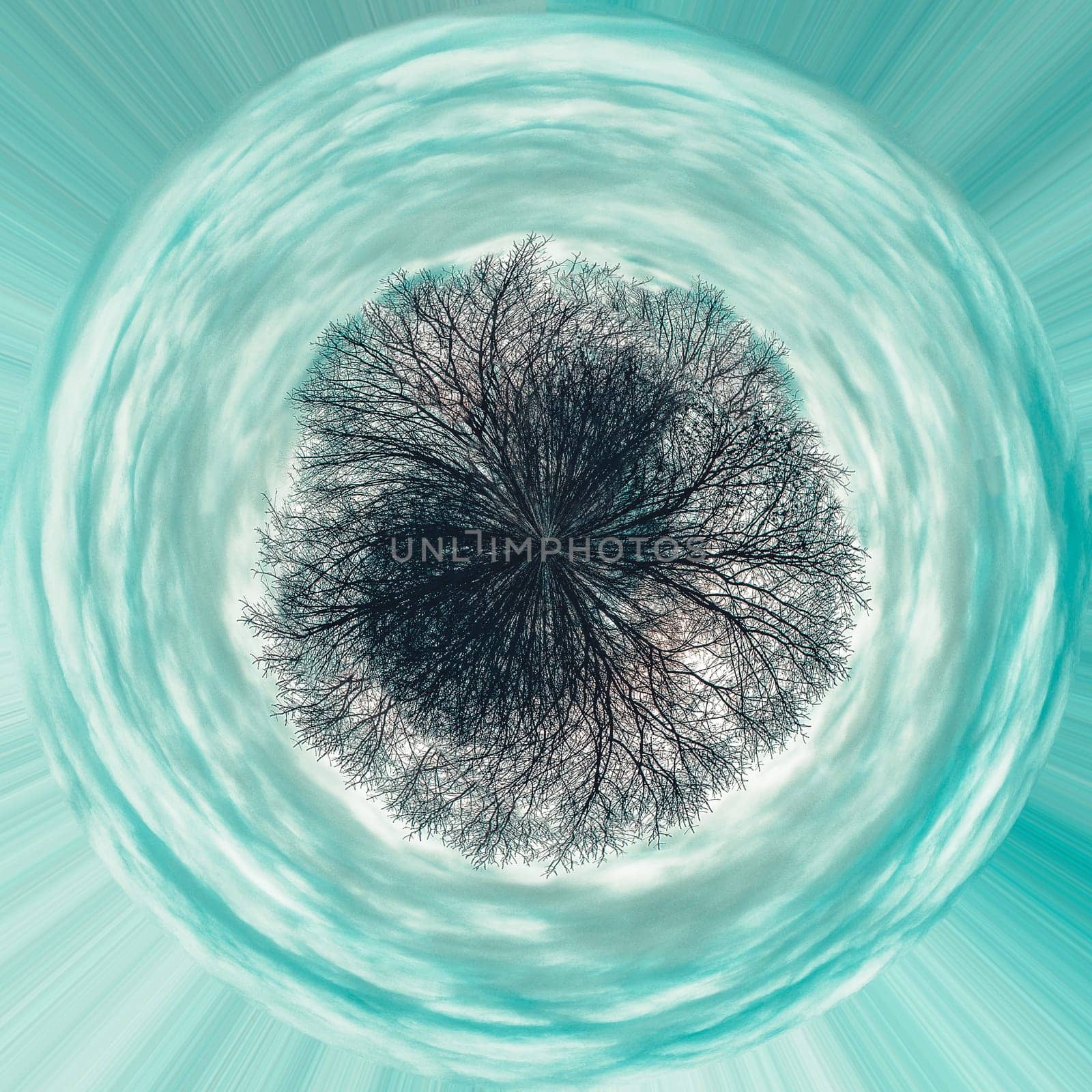 360 degree circle panorama of gloomy trunks and tree branches without foliage against a blue sky with clouds
