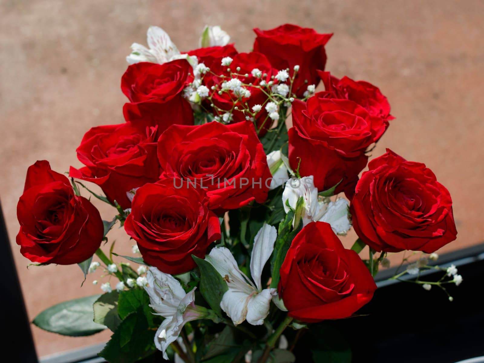 Fresh red roses bouquet with baby’s breath and white geranium flowers in front of a sunny glass door. On the floor in front of a sunny glass door pretty red and white flowers beauty.