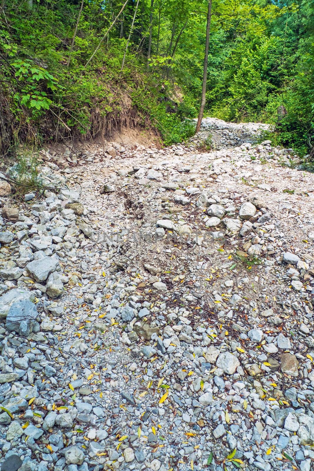 Dry River Bed in Mountains