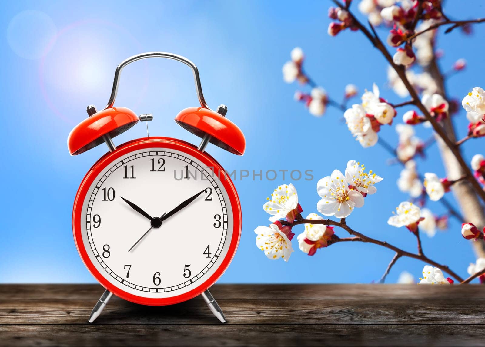 Vintage red alarm clock on wooden table or bench in the spring season on the background of a blooming fruit tree background. Return to summertime. Switch to daylight saving time.
