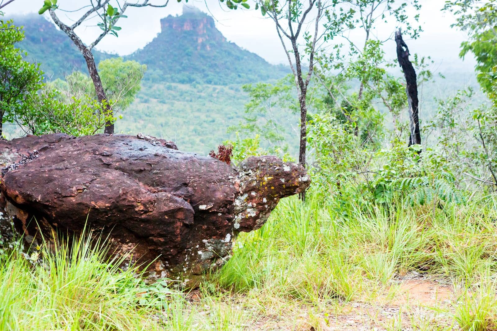 Chapada das Mesas in Maranhão Brazil.