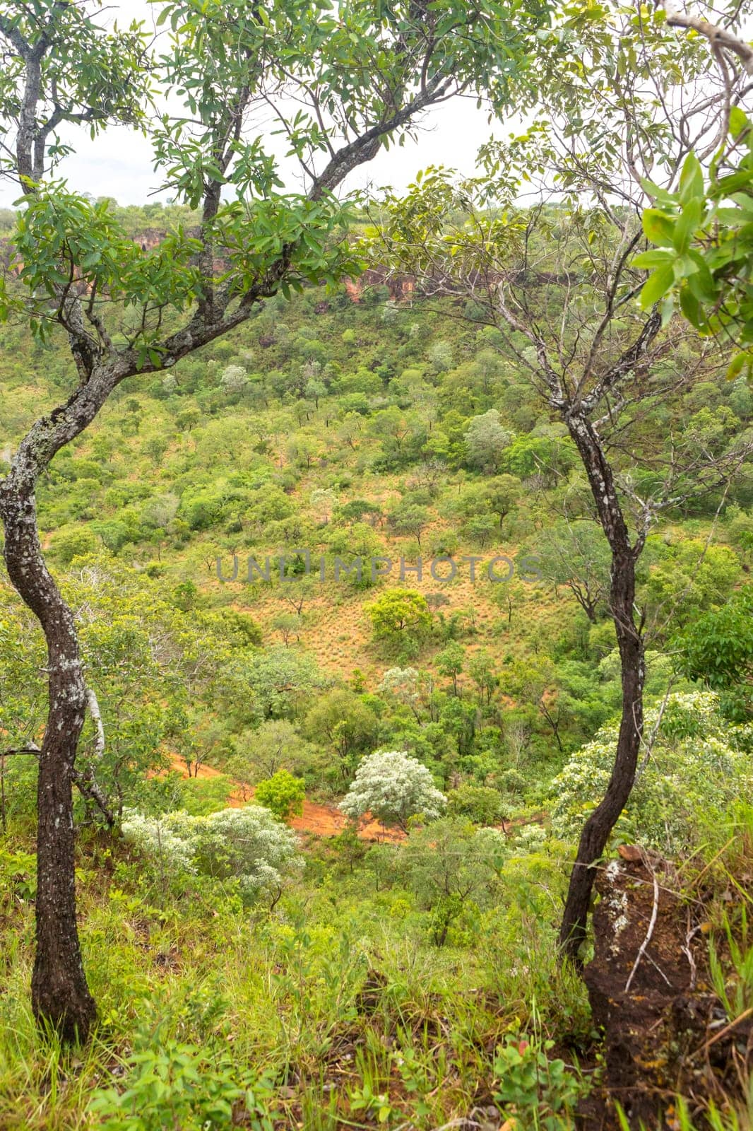 Chapada das Mesas in Maranhão Brazil.