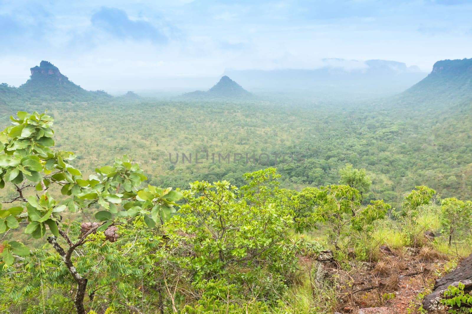 Chapada das Mesas in Maranhão Brazil.