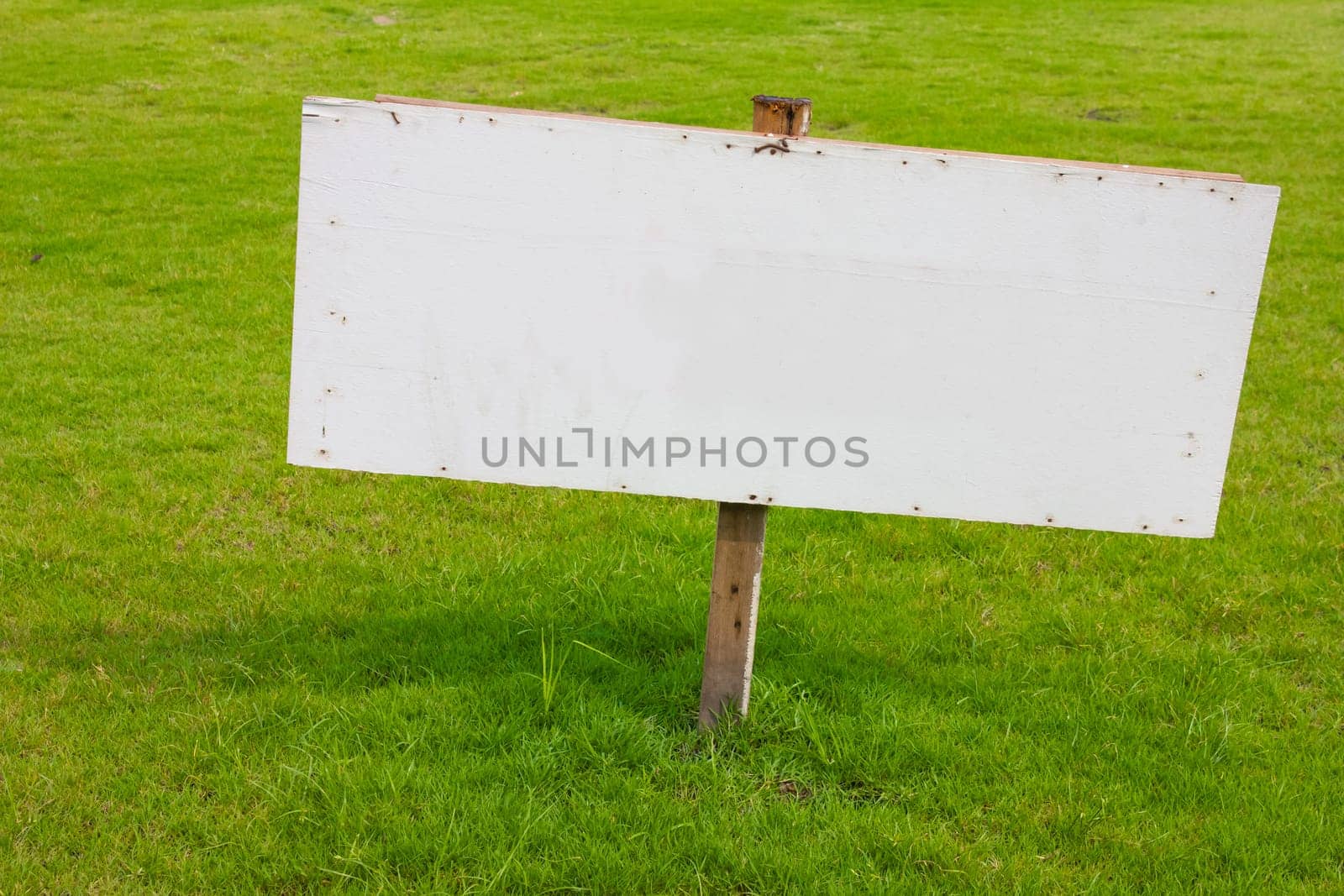 wood label sign in green grass