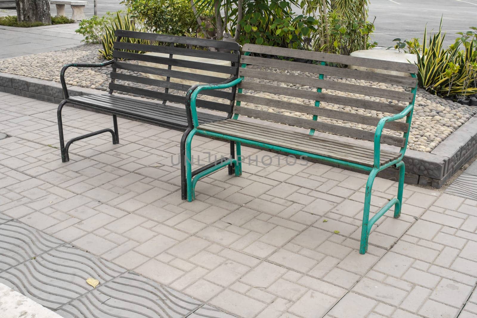alley and bench of the garden.