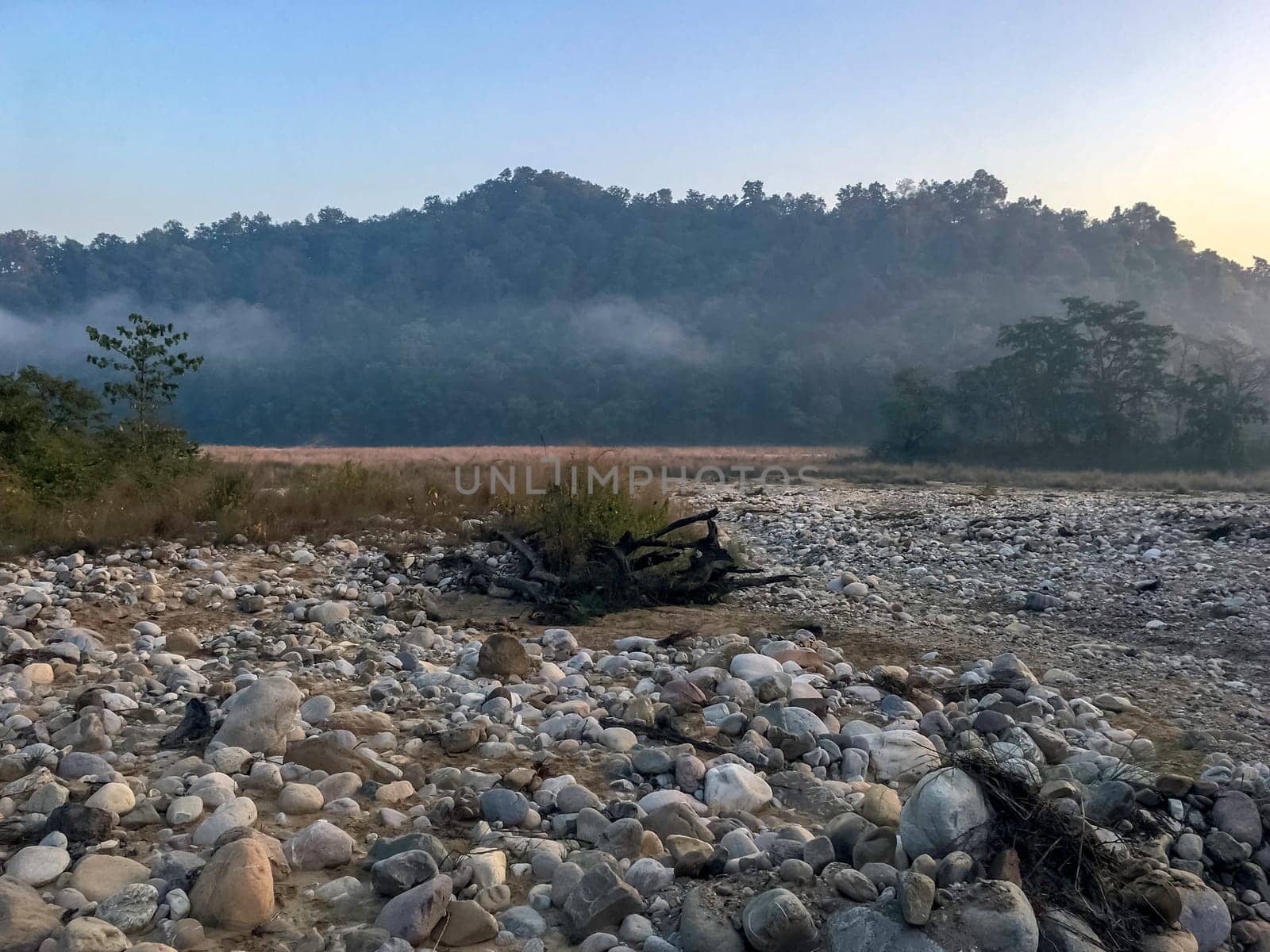 Morning in Jim Corbett National Park, India