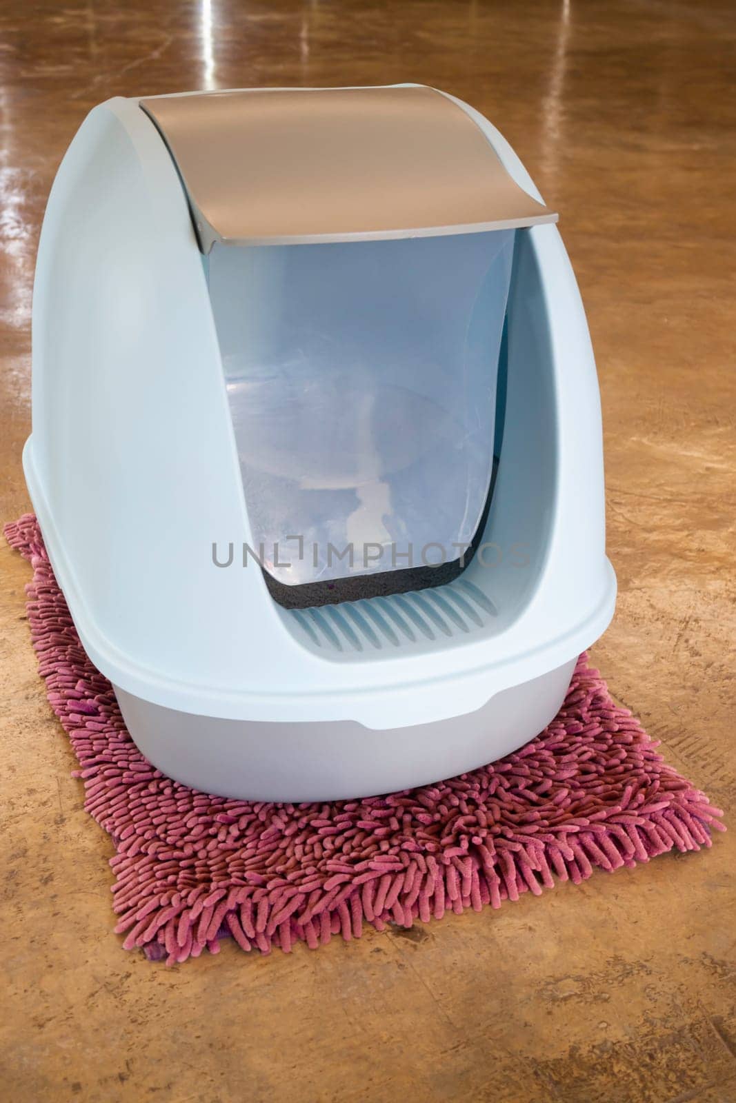 Cleaning cat litter box place, stock photo