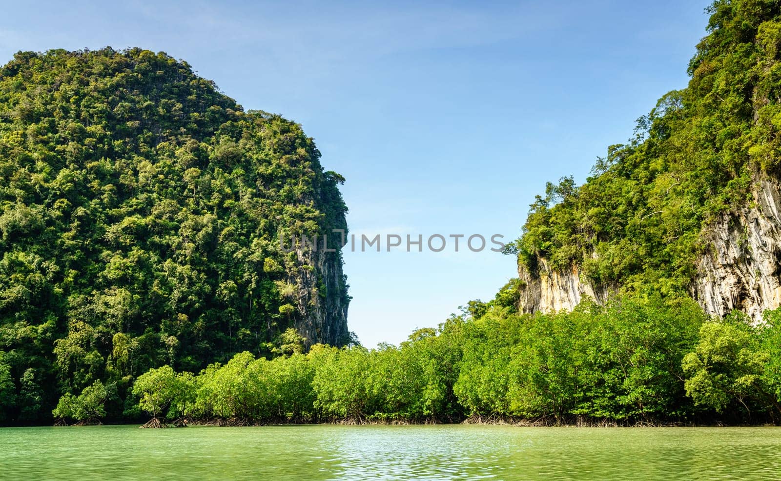 Mangroves in the hidden lagoon on Koh Hong island, Krabi, Thailand