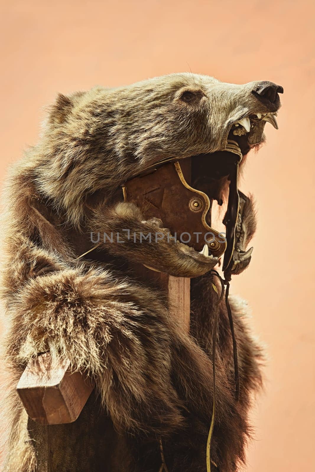 Suit of Roman Legionary with Bear pelt