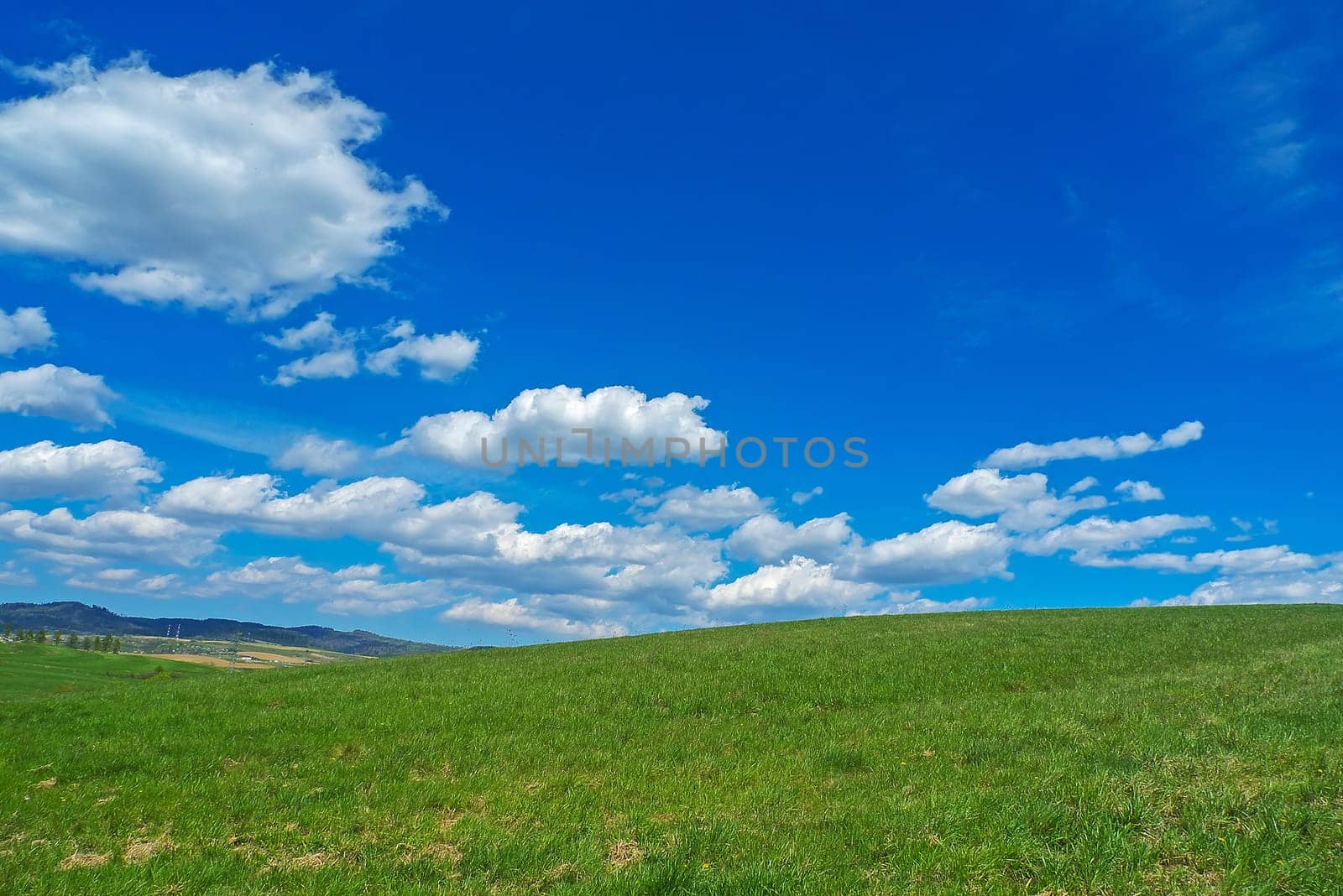 Landscape with grass fields, blue sky and white clouds