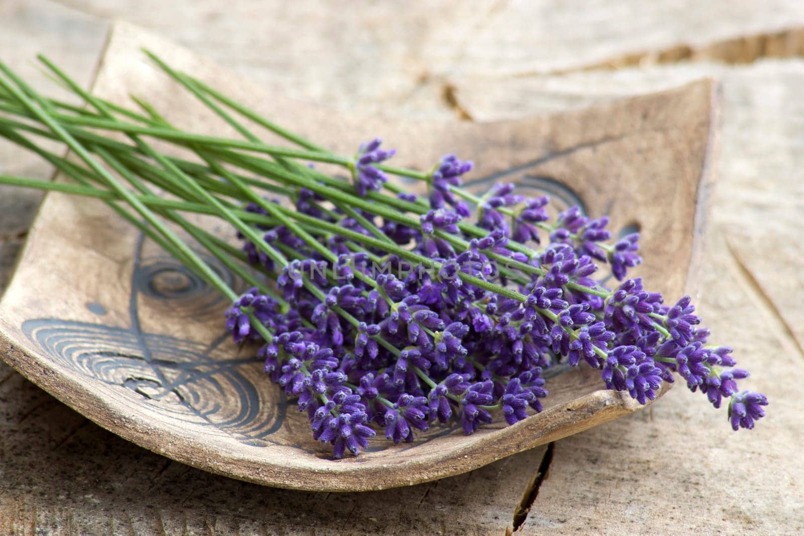 Bunch of lavender flowers on clay plate
