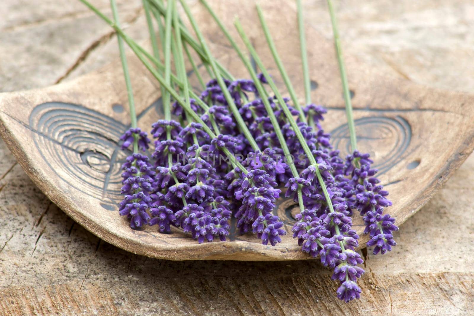 Bunch of lavender flowers on clay plate