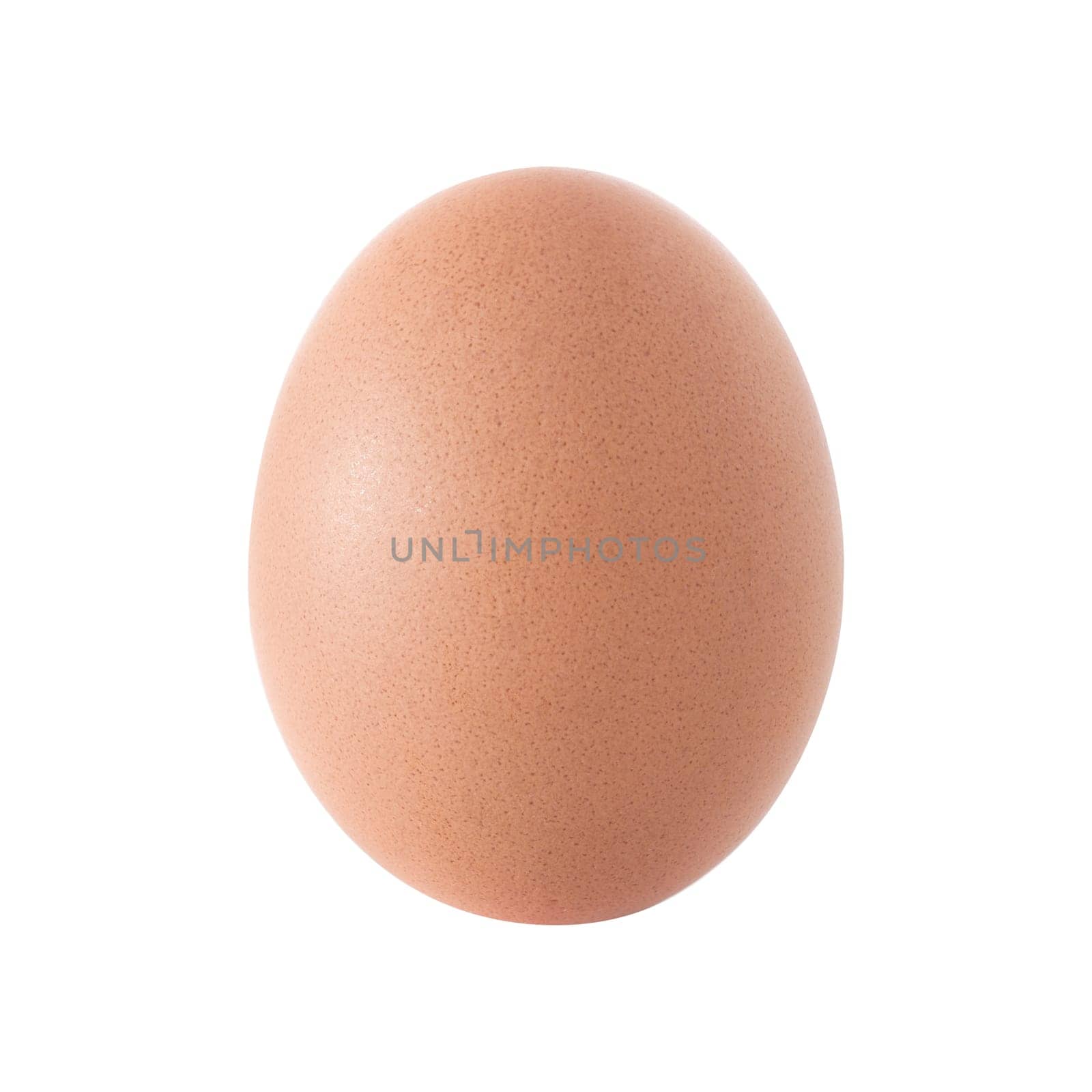 Big chicken egg isolated on white background