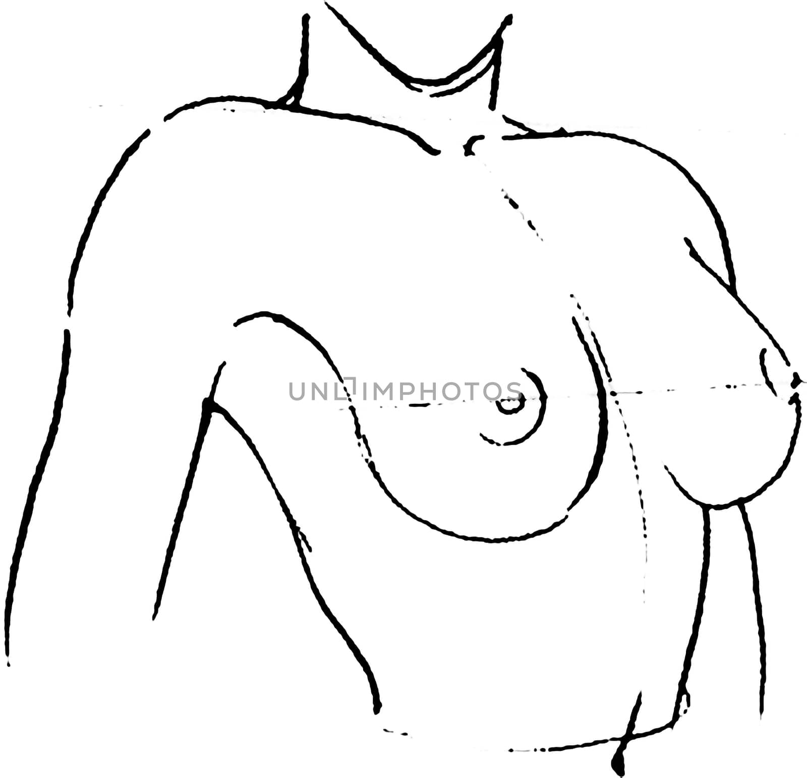 Tutorial of drawing a female body. Drawing the human body, step by step lessons. Female breast drawing tutorial. Drawing a woman's body with an emphasis on breasts.