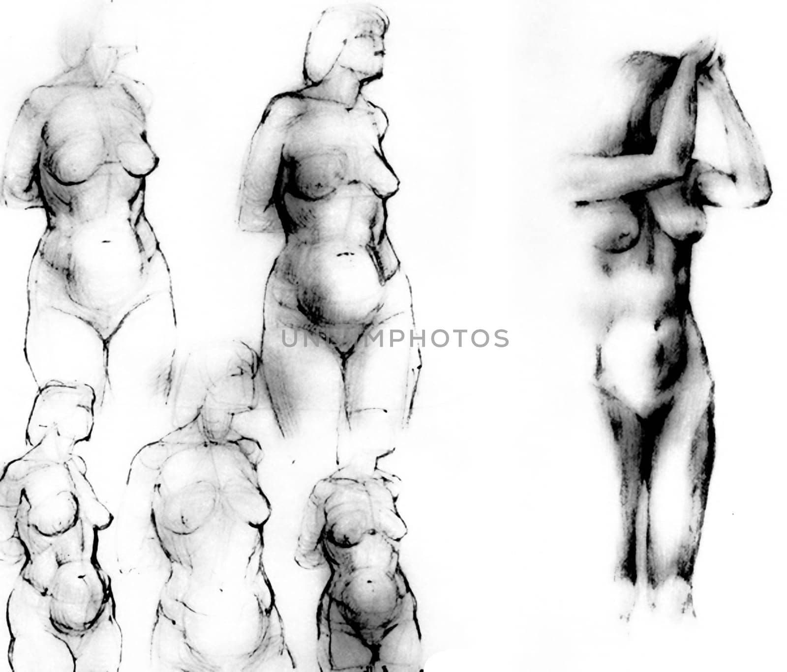 Tutorial of drawing a female body. Drawing the human body, step by step lessons.